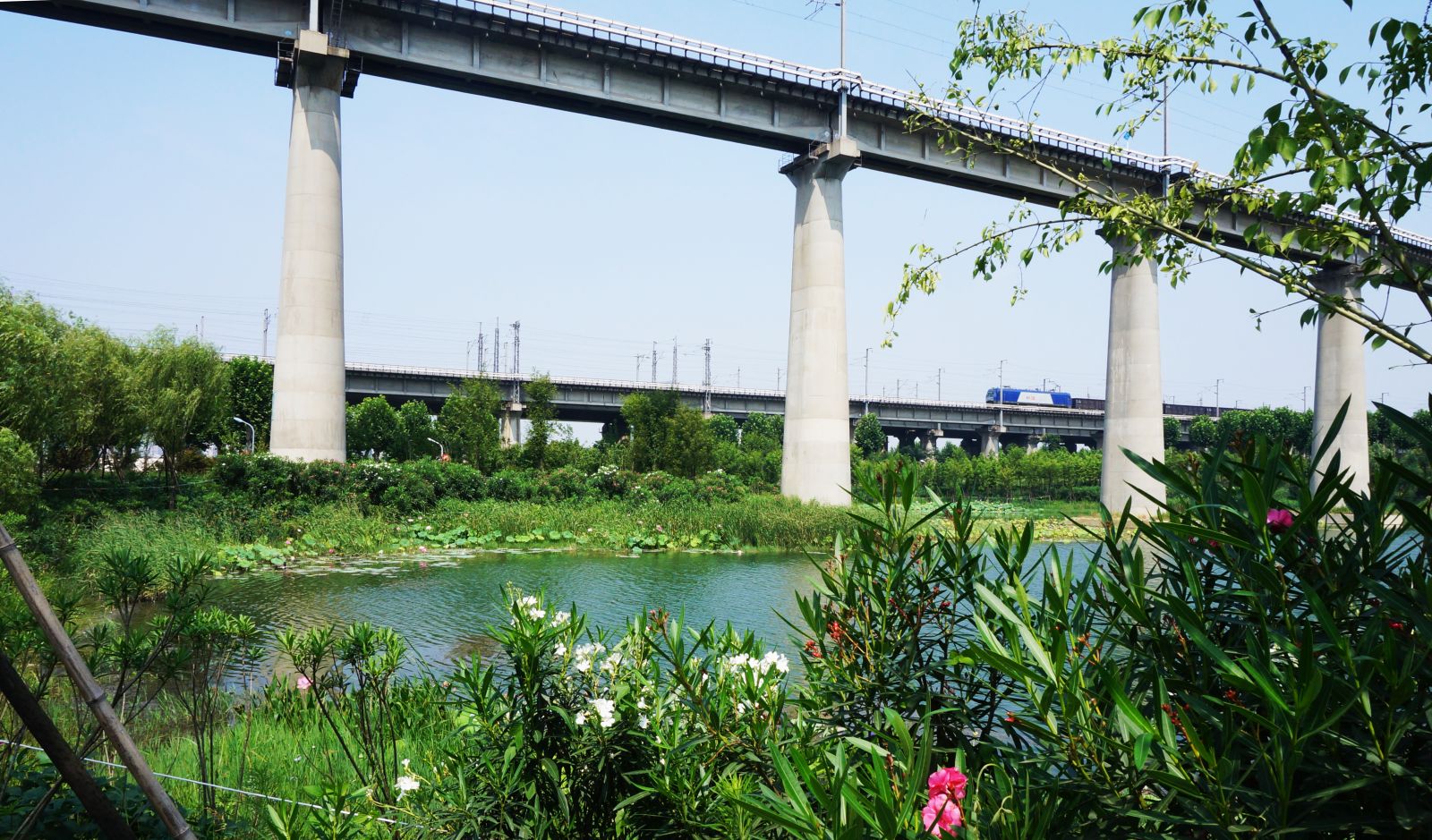 園冶杯專業獎：戴家湖公園生態修復工程