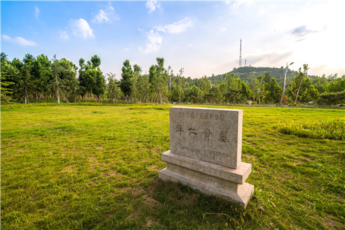 園冶杯專業獎：曾子廣場及洪山河景觀綠化