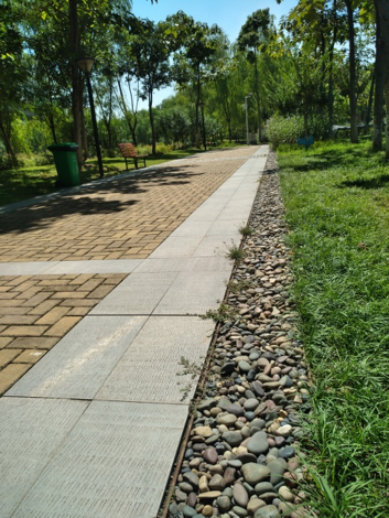 園冶杯專業獎：戴家湖公園生態修復工程