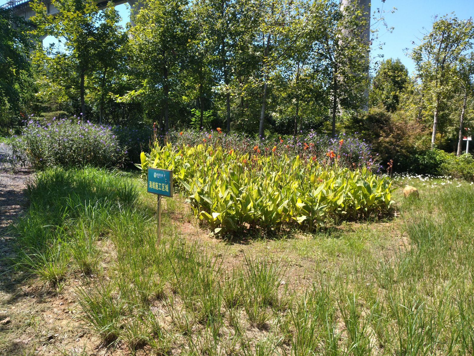 園冶杯專業獎：戴家湖公園生態修復工程