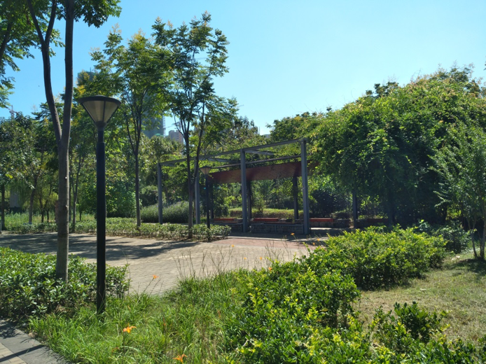 園冶杯專業獎：戴家湖公園生態修復工程
