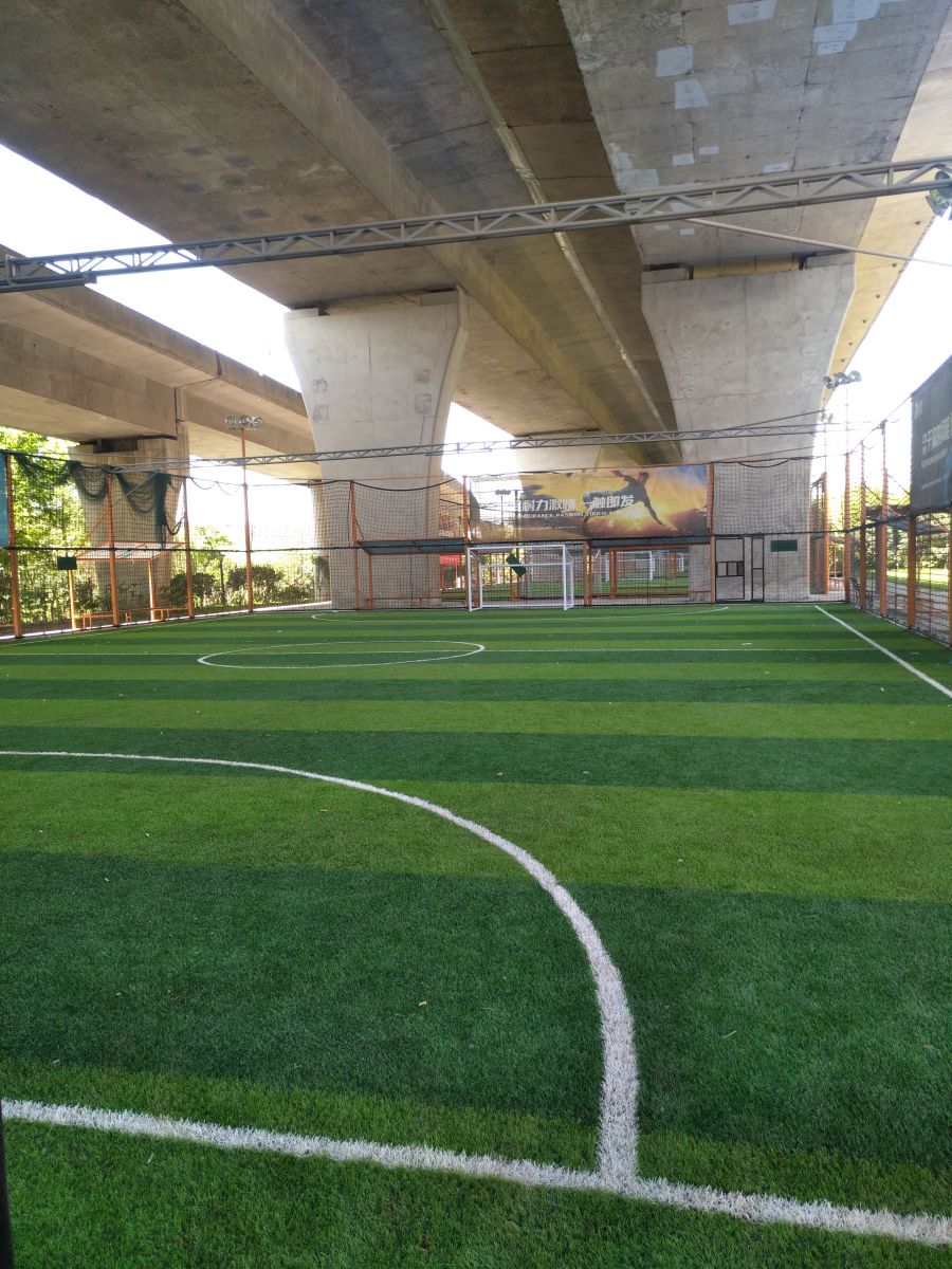 園冶杯專業獎：戴家湖公園生態修復工程