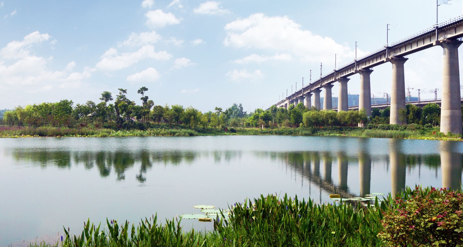 園冶杯專業獎：戴家湖公園生態修復工程