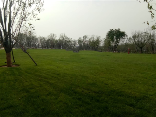 園冶杯專業(yè)獎：昌黎產(chǎn)業(yè)小鎮(zhèn)項目園林景觀