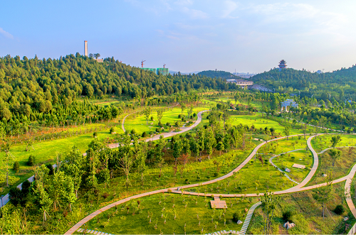 園冶杯專業獎：曾子廣場及洪山河景觀綠化