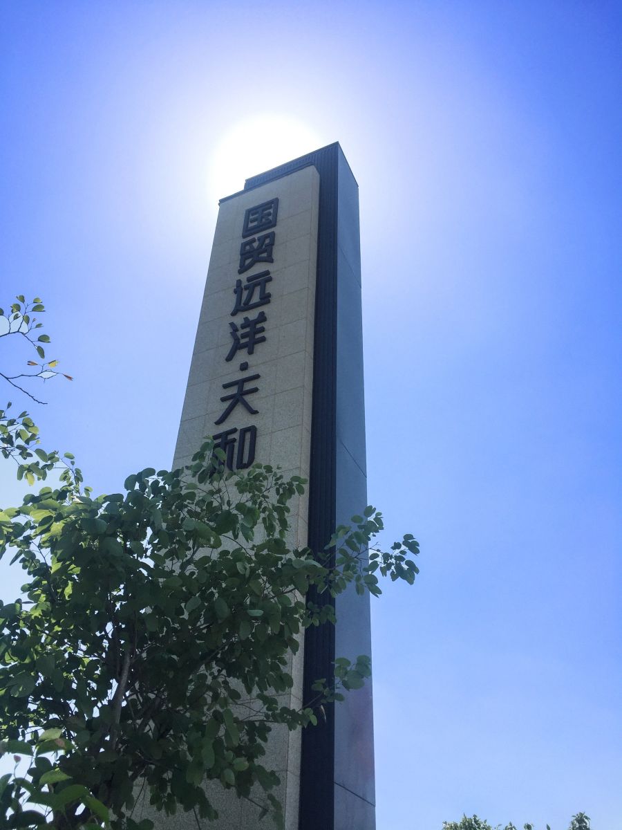 園冶杯專業(yè)獎(jiǎng)：廈門翔安國(guó)貿(mào)遠(yuǎn)洋天和示范區(qū)