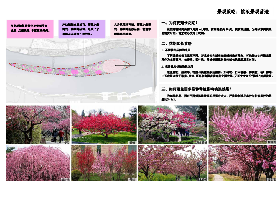 園冶杯專業(yè)獎：衡陽市東洲島綜合開發(fā)項目景觀設(shè)計