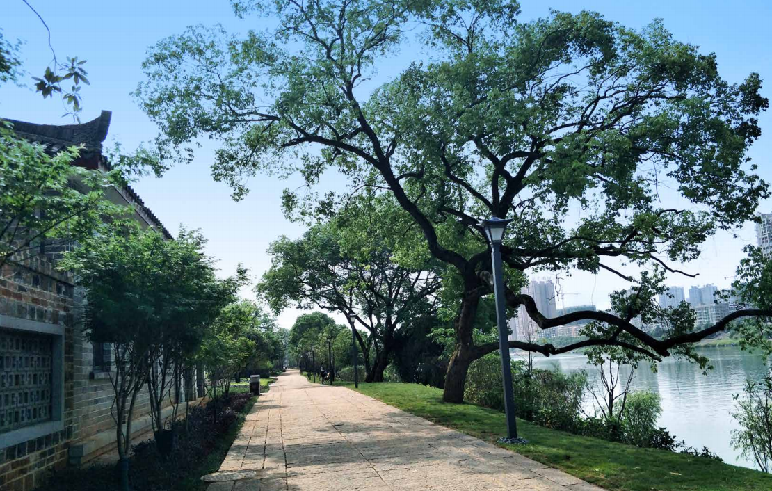 園冶杯專業(yè)獎：衡陽市東洲島綜合開發(fā)項目景觀設(shè)計