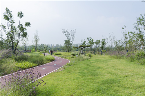 園冶杯專業獎：巢湖市烔長路景觀工程