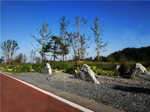 園冶杯專業獎：巢湖市烔長路景觀工程