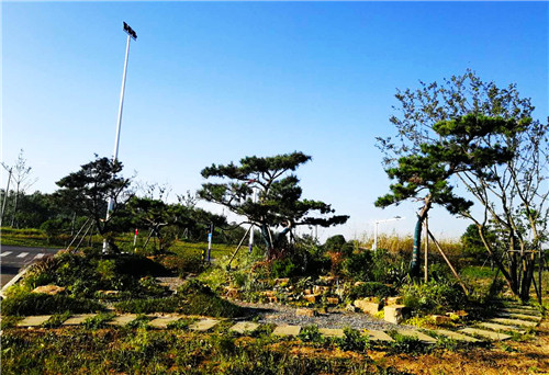 園冶杯專業獎：巢湖市烔長路景觀工程