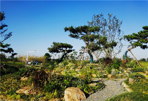 園冶杯專業獎：巢湖市烔長路景觀工程