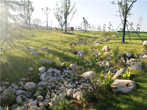 園冶杯專業獎：巢湖市烔長路景觀工程