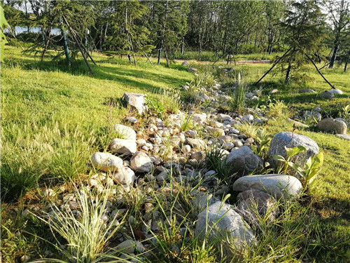 園冶杯專業獎：巢湖市烔長路景觀工程