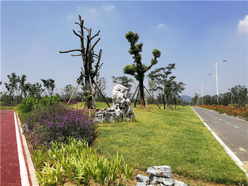 園冶杯專業獎：巢湖市烔長路景觀工程