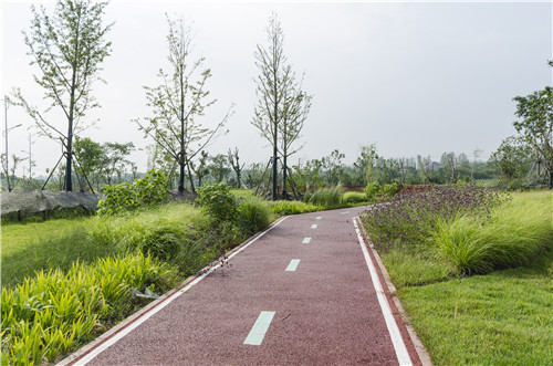 園冶杯專業獎：巢湖市烔長路景觀工程