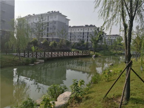 園冶杯專業獎：鳳陽縣新城區水系治理工程