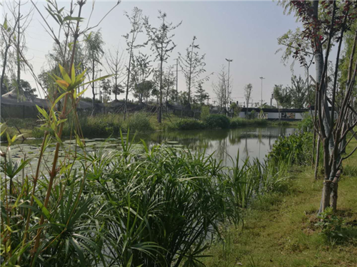 園冶杯專業獎：鳳陽縣新城區水系治理工程