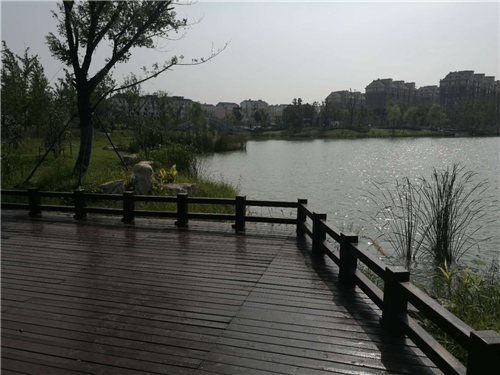 園冶杯專業獎：鳳陽縣新城區水系治理工程