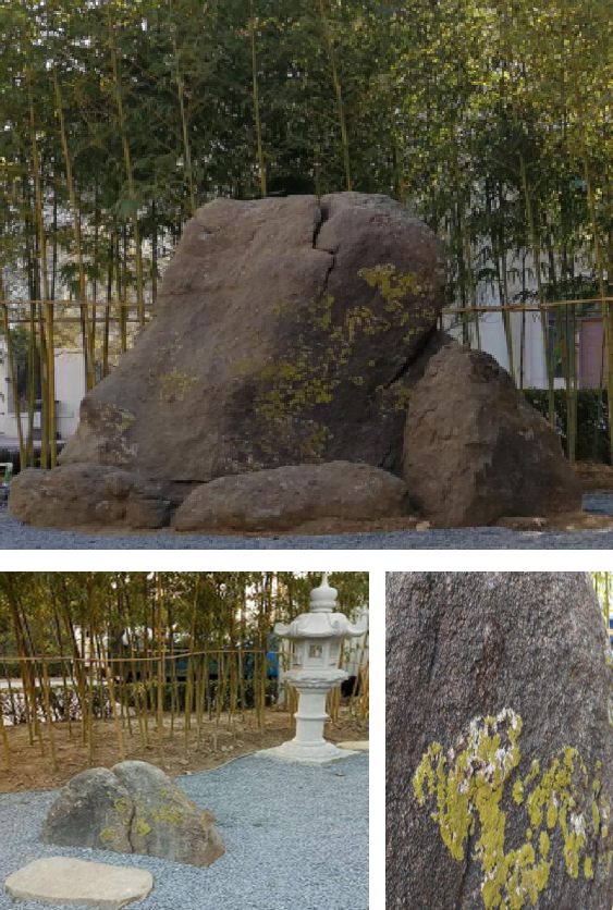 園冶杯專業獎：麗高王府庭院景觀設計