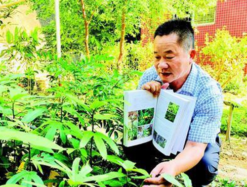 中學教師找到20余種少見或無記錄珍稀植物