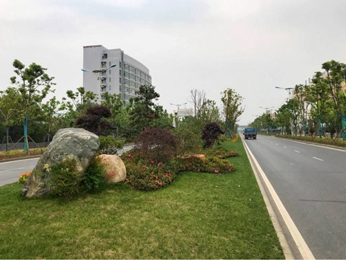園冶杯專業(yè)獎(jiǎng)：廬陽工業(yè)區(qū)天水路、凌湖路綠化施工
