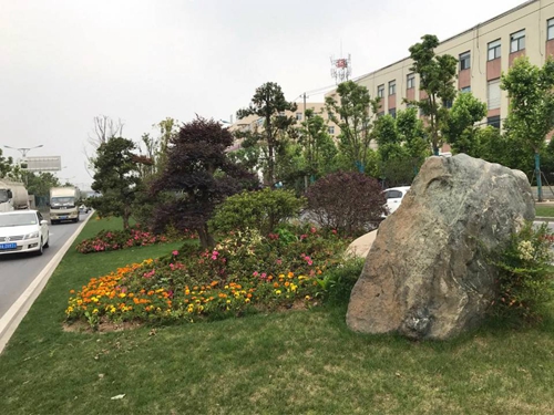 園冶杯專業(yè)獎(jiǎng)：廬陽工業(yè)區(qū)天水路、凌湖路綠化施工