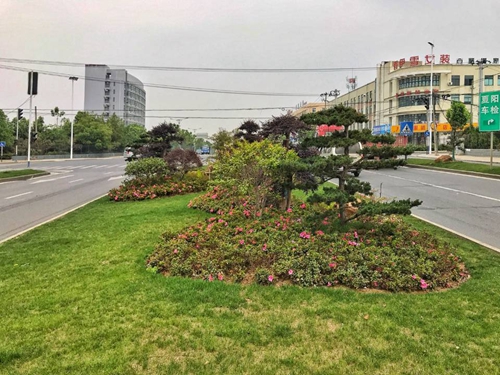 園冶杯專業(yè)獎(jiǎng)：廬陽工業(yè)區(qū)天水路、凌湖路綠化施工