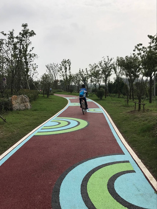 園冶杯專業獎：店忠路（新合馬路至環巢湖大道段）改建工程景觀設計