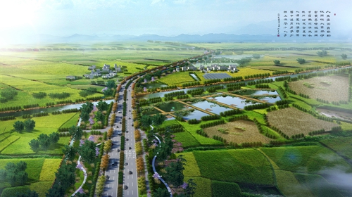 園冶杯專業獎：店忠路（新合馬路至環巢湖大道段）改建工程景觀設計