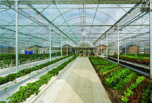 農業主題景觀設計：桐鄉合悅百翠莊園