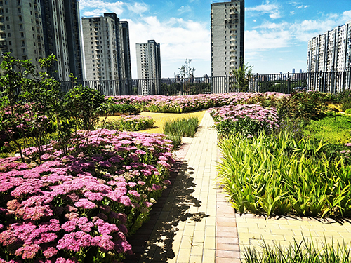 園冶杯專業獎：工業大學附中低碳屋頂花園