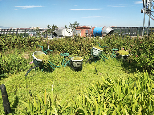 園冶杯專業獎：景山學校分校低碳屋頂花園