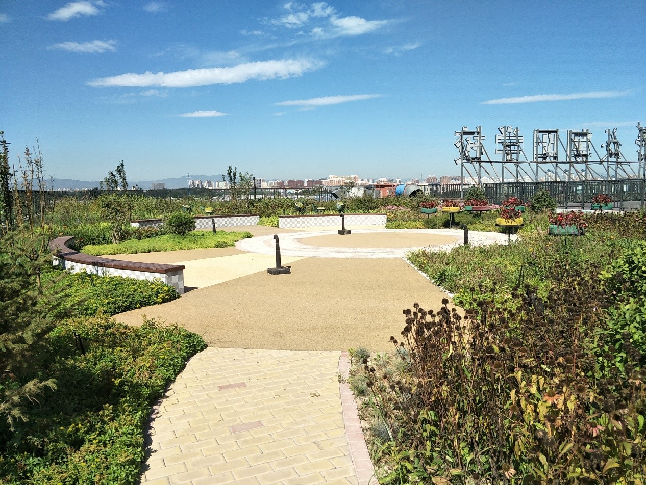 園冶杯專業獎：景山學校分校低碳屋頂花園