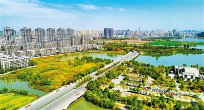 杭州綠化經驗：讓城市推窗見綠移步成景
