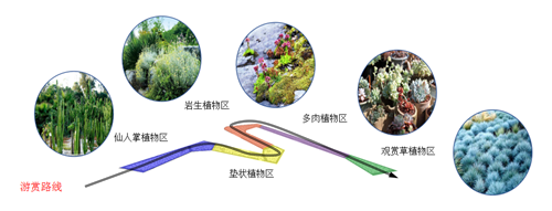 河北省第二屆園博會(huì)花境作品——碣石仙臺(tái)