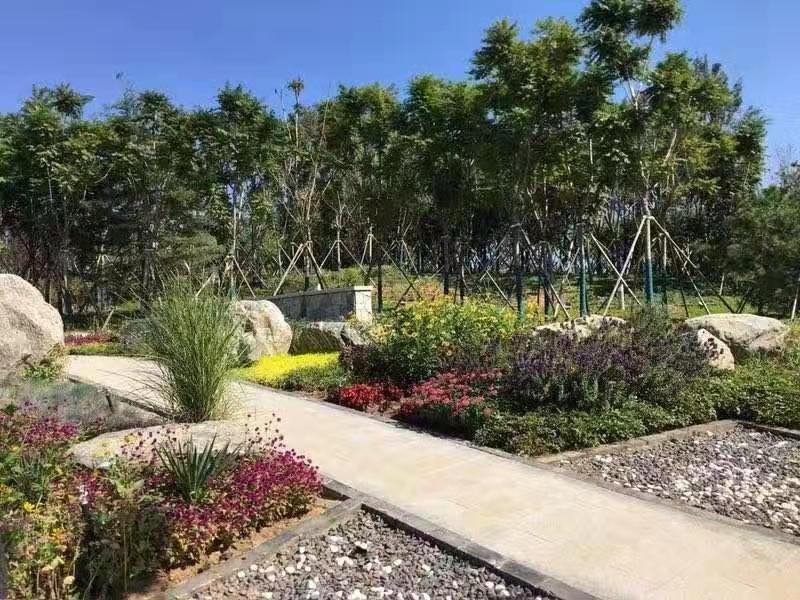 河北省第二屆園博會(huì)花境作品——碣石仙臺(tái)