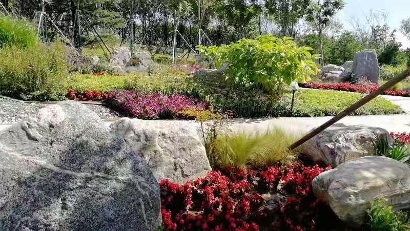 河北省第二屆園博會(huì)花境作品——碣石仙臺(tái)