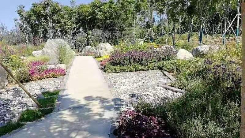 河北省第二屆園博會(huì)花境作品——碣石仙臺(tái)