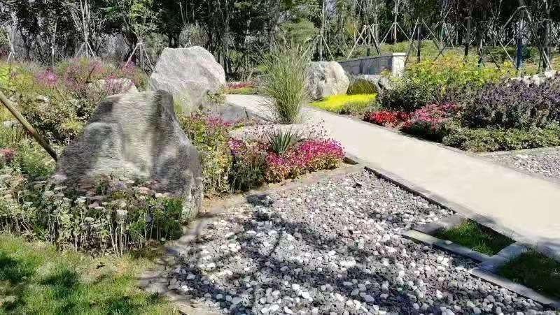 河北省第二屆園博會(huì)花境作品——碣石仙臺(tái)