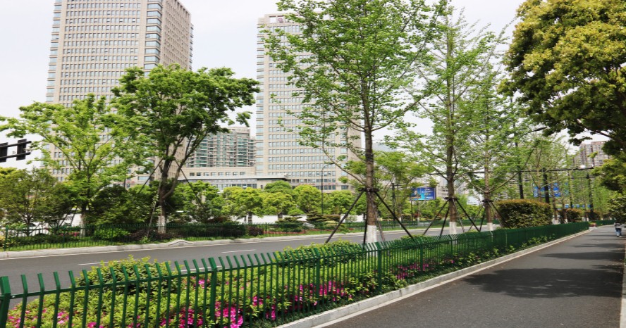 園冶杯專業獎：新塘路（新風路-新業路）綜合整治工程景觀綠化Ⅰ標段