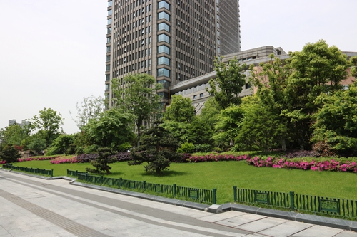 園冶杯專業獎：新塘路（新風路-新業路）綜合整治工程景觀綠化Ⅰ標段