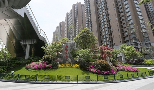 園冶杯專業獎：新塘路（新風路-新業路）綜合整治工程景觀綠化Ⅰ標段
