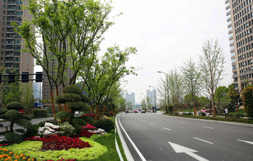 園冶杯專業獎：新塘路（新風路-新業路）綜合整治工程景觀綠化Ⅰ標段