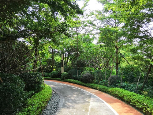 園冶杯專業獎：泰豐花園一期A標段展示區園林景觀工程