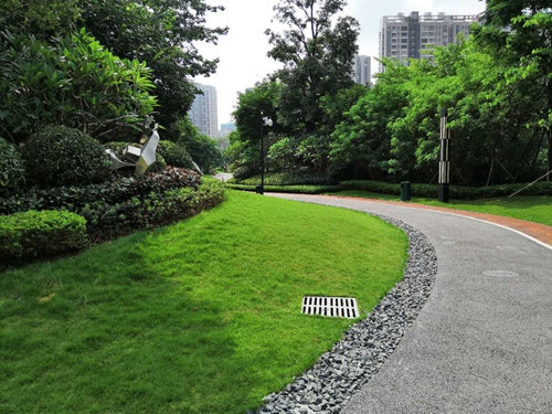 園冶杯專業獎：泰豐花園一期A標段展示區園林景觀工程