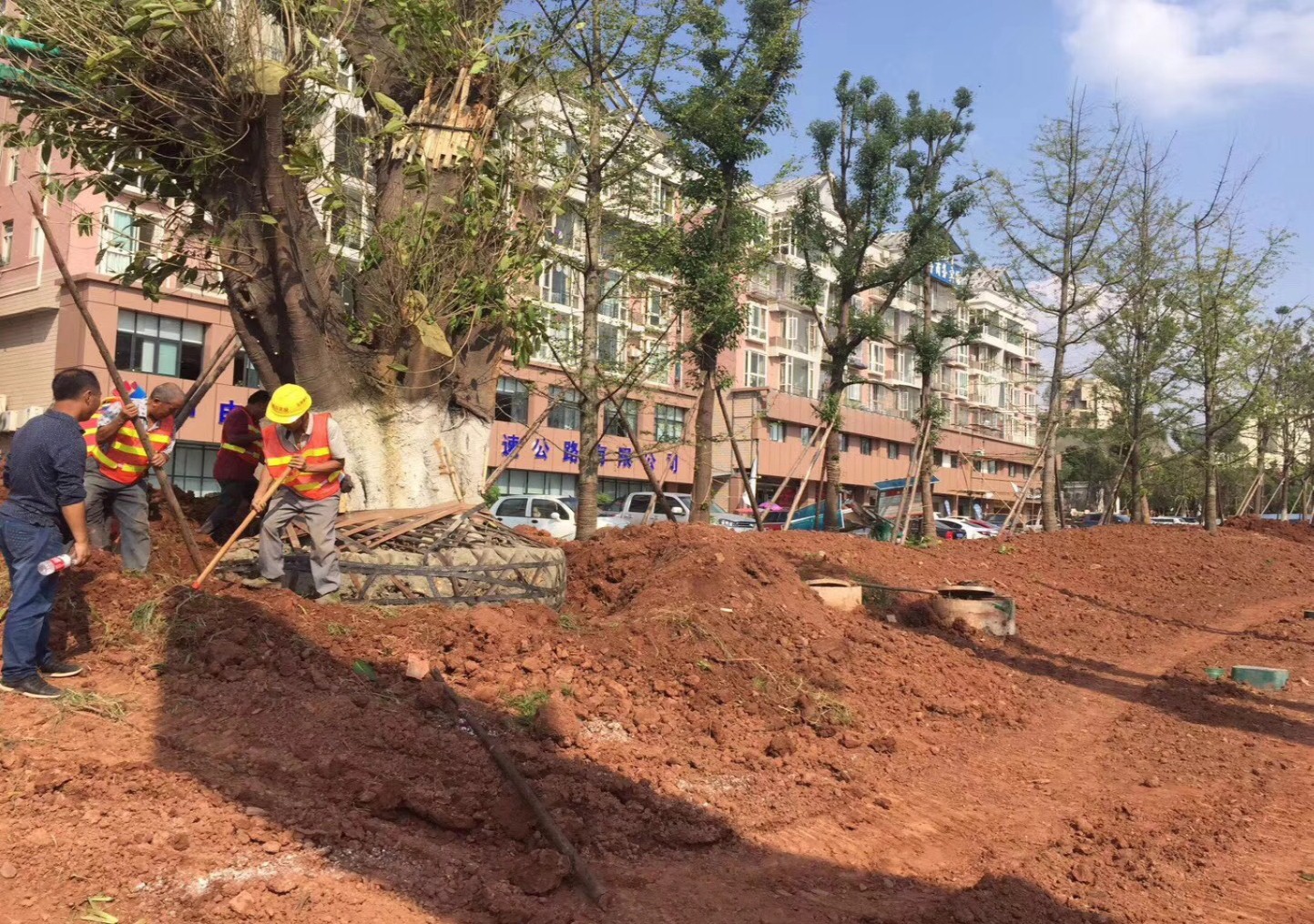 園冶杯專業(yè)獎：資陽市嬌子大道綜合整治建設工程-節(jié)點景觀提升
