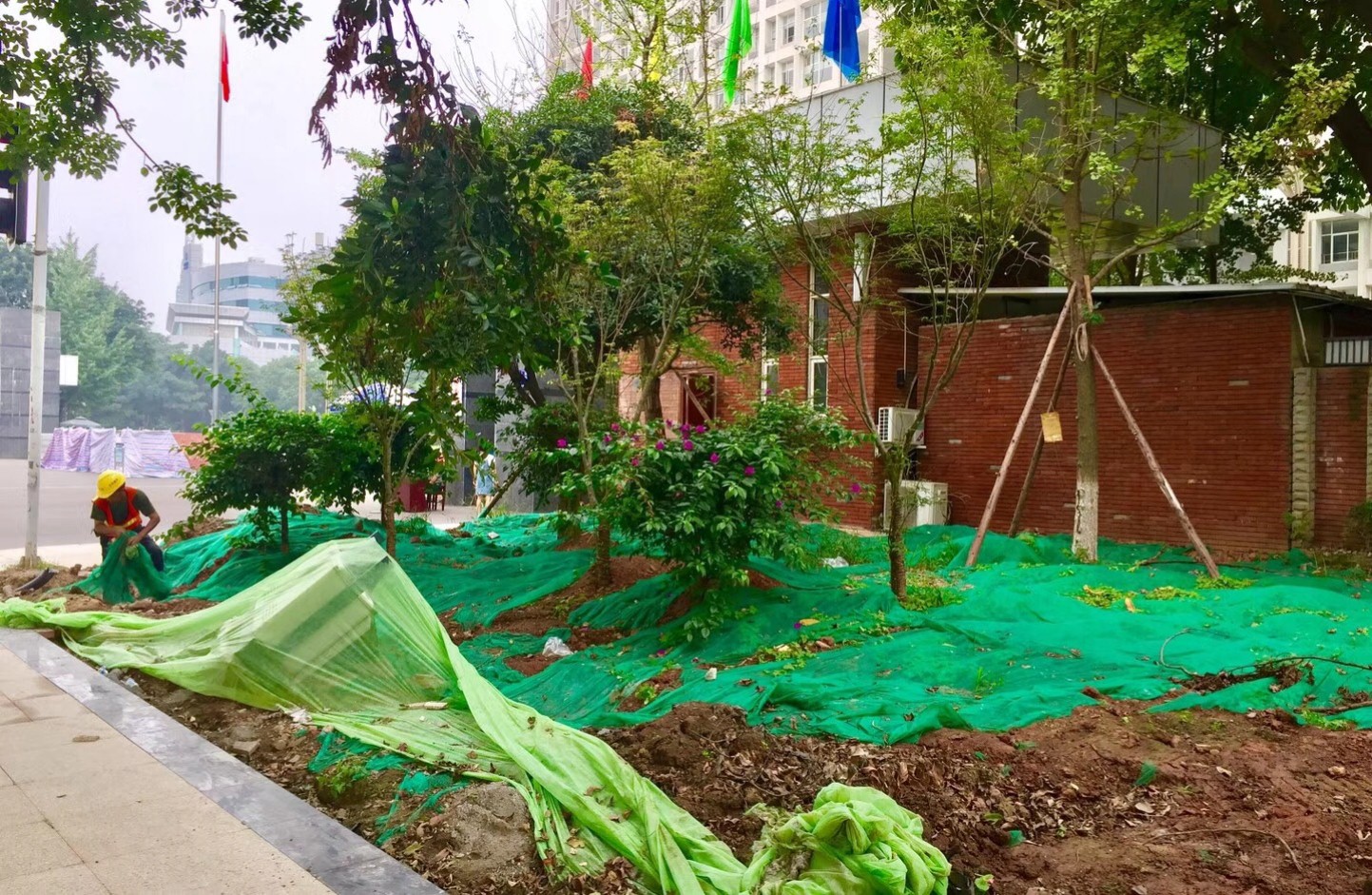 園冶杯專業(yè)獎：資陽市嬌子大道綜合整治建設工程-節(jié)點景觀提升