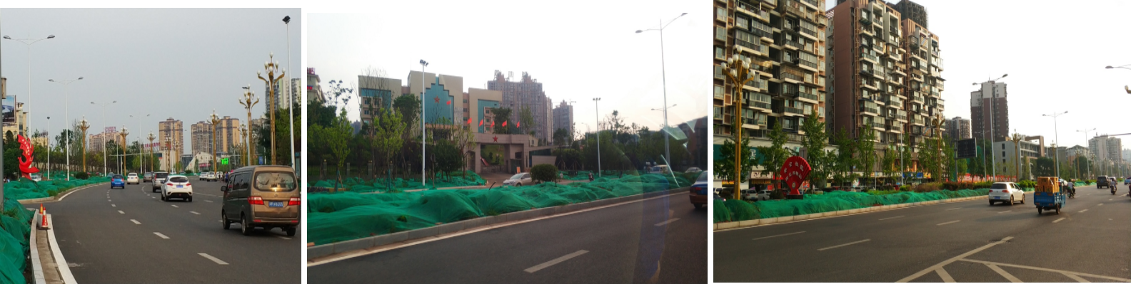 園冶杯專業(yè)獎：資陽市嬌子大道綜合整治建設工程-節(jié)點景觀提升