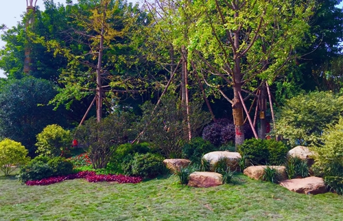 園冶杯專業(yè)獎：資陽市嬌子大道綜合整治建設工程-節(jié)點景觀提升